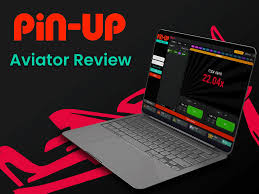 Pin Up Gambling Establishment App: Just how to Download apk for Android and iphone